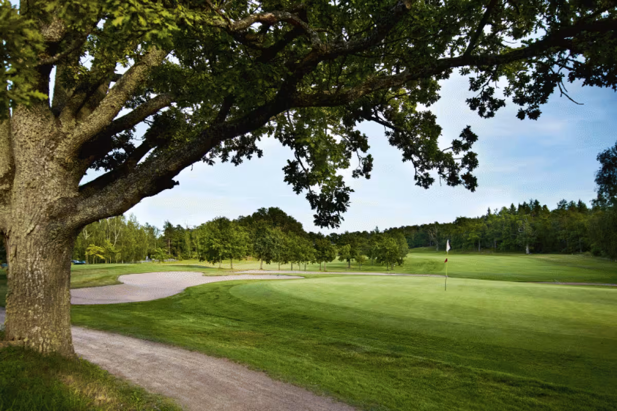 Aura Golf