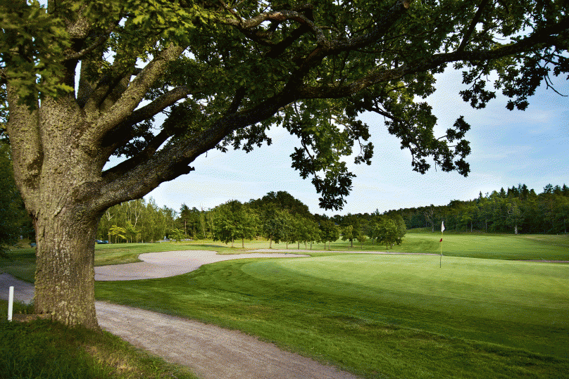 Aura Golf