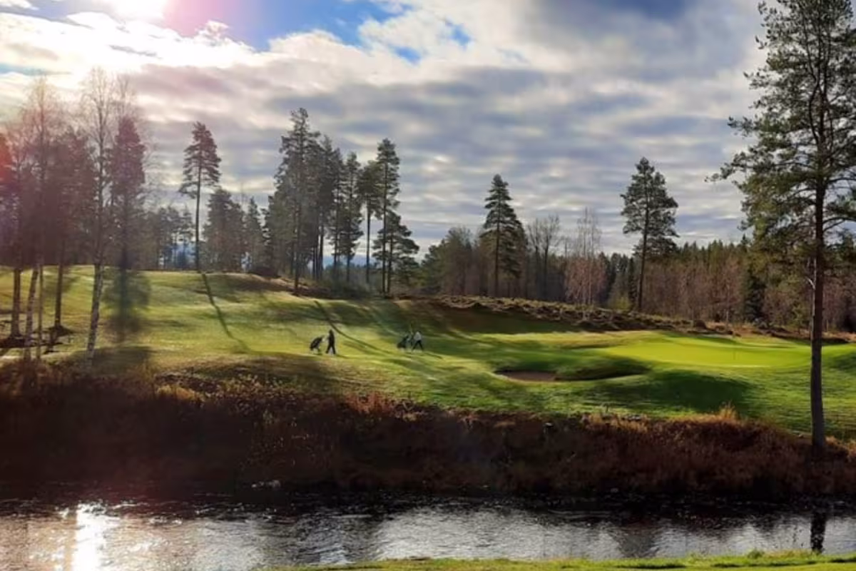 Sankivaara