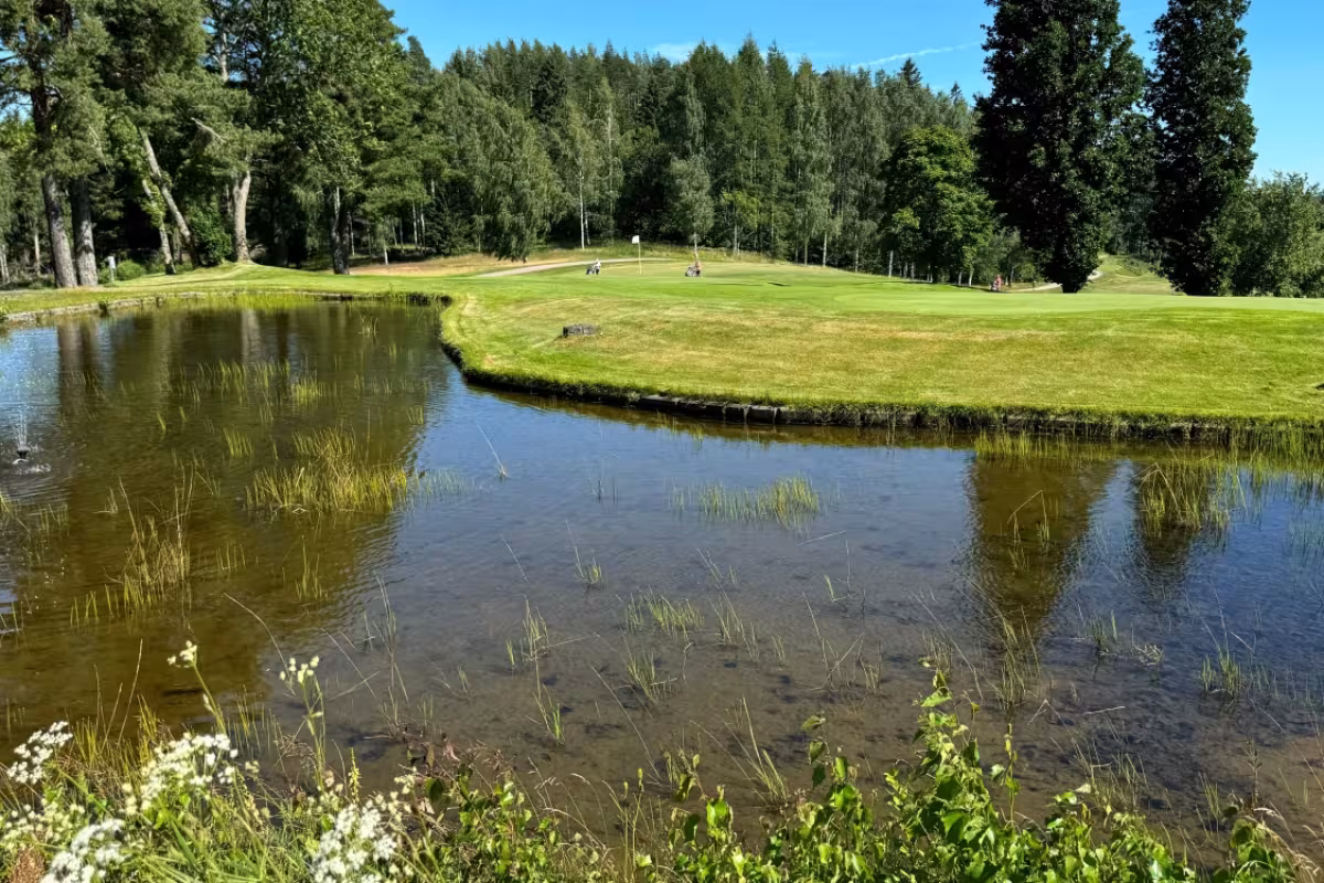 Ruukkigolf