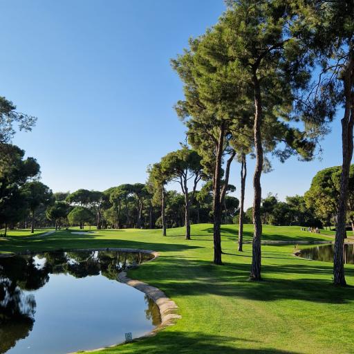 Par 3 maisemaa