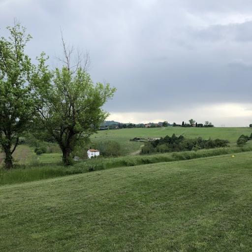  Bologna Golf 3