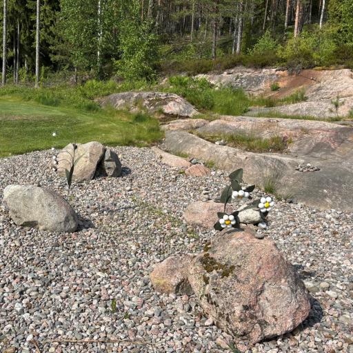 Taidetta golfpalloista