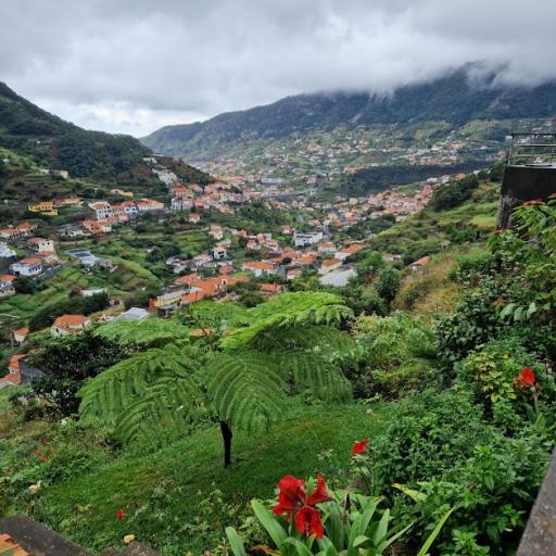 Machino (levada)