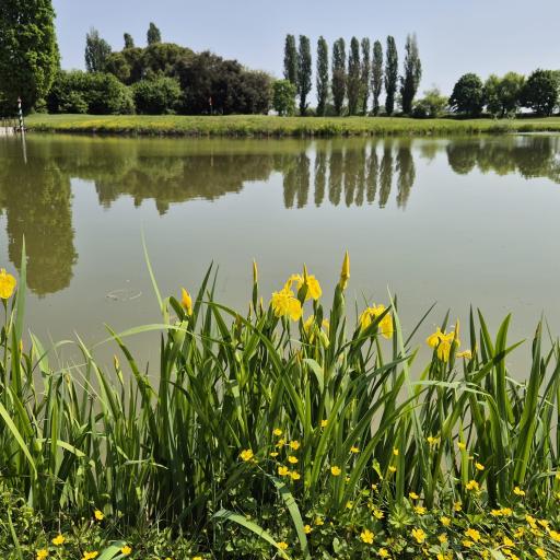 Golf della Montecchia