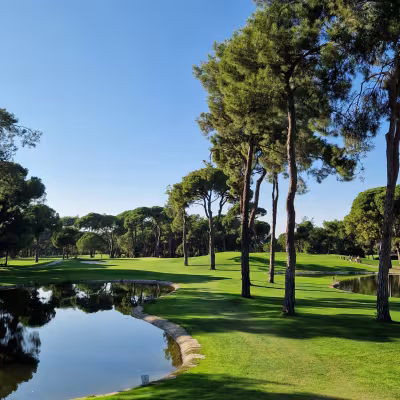 Par 3 maisemaa