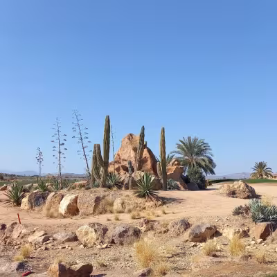 Desert Springs 