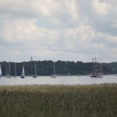 The Tall Ships Races