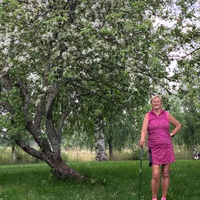 Kaija Fabritius, N65, KGM. Kalafornia on kaunis puistokenttä